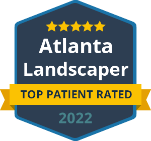 Top Patient Rated 2025