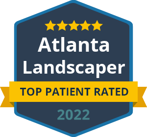 Top Patient Rated 2024