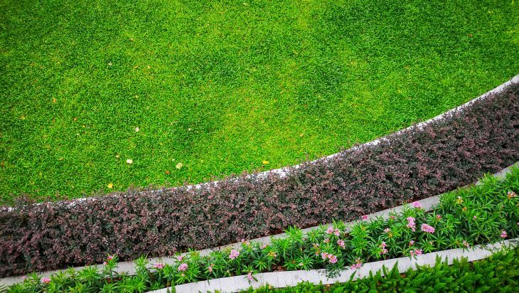 Manicured lawn with fresh green Bermuda grass.