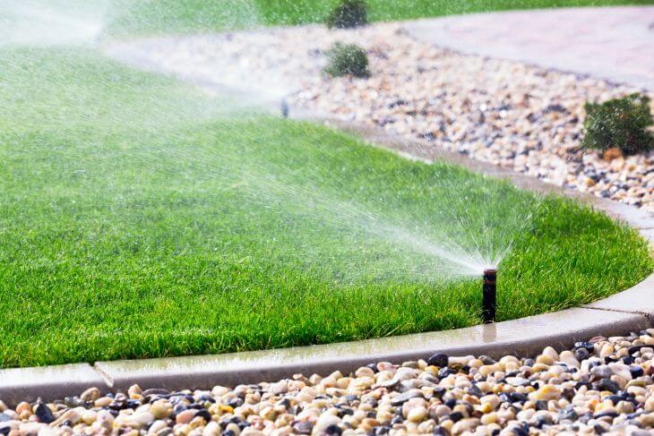 Sprinkler watering lawn in the yard.