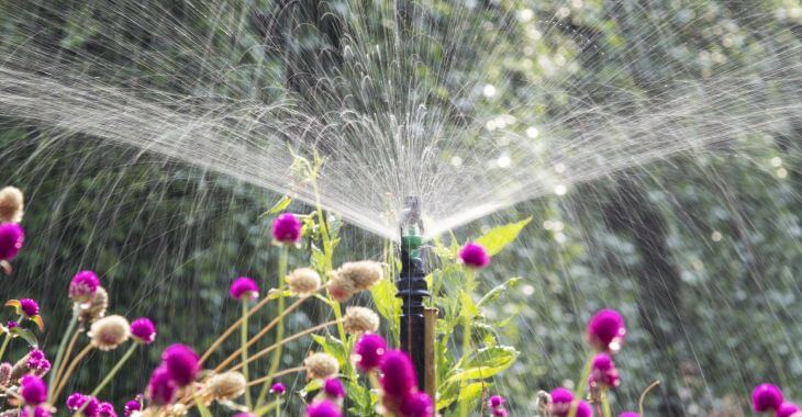 A sprinkler watering flowers in the garden.