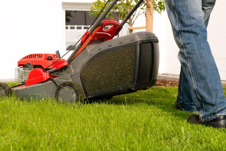 Man using push lawnmower to mow new sod.