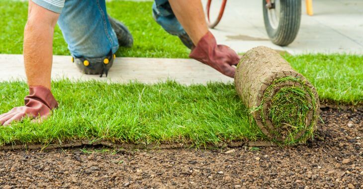 A man installing new sod.