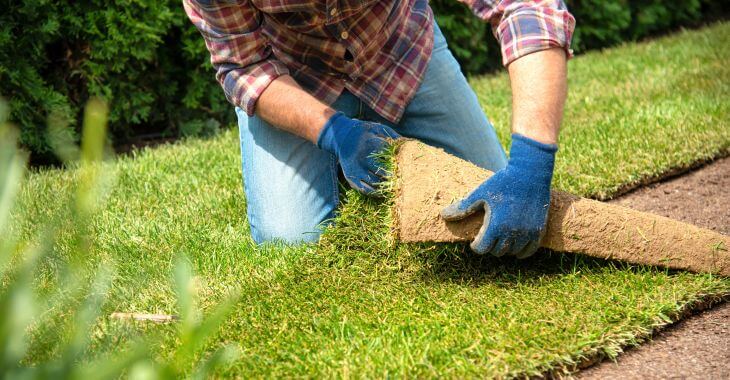 A man performing sod installation in the yard.