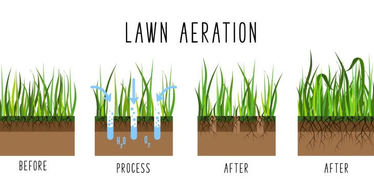 Lawn Aeration