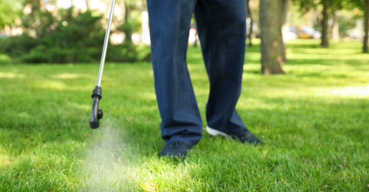 Landscaper spraying lawn to defeat lawn fungus.