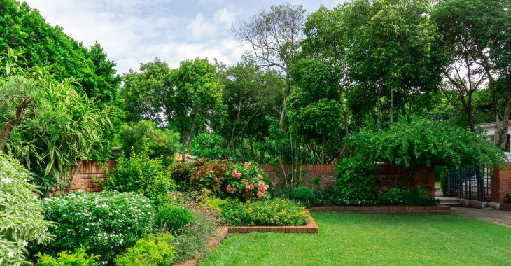 A landscaped backyard with trees.