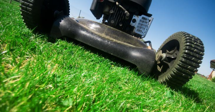 Lawn Mowing after overseeding