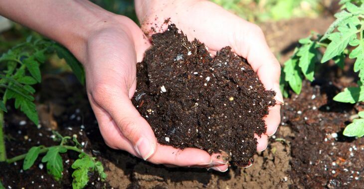 A person scooping soil mixed with dirt.