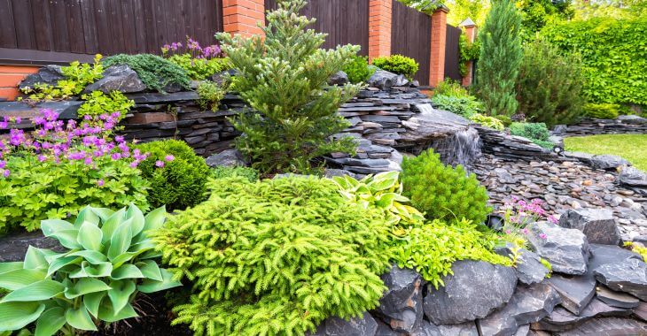 Backyard with landscaped slope.