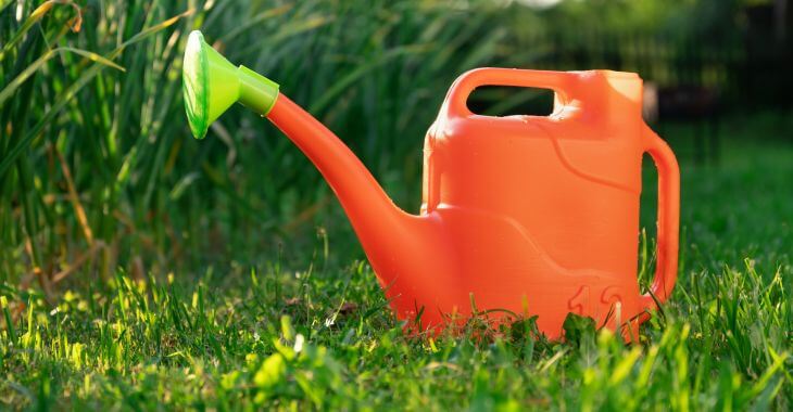 A watering can on a grass in the yard.