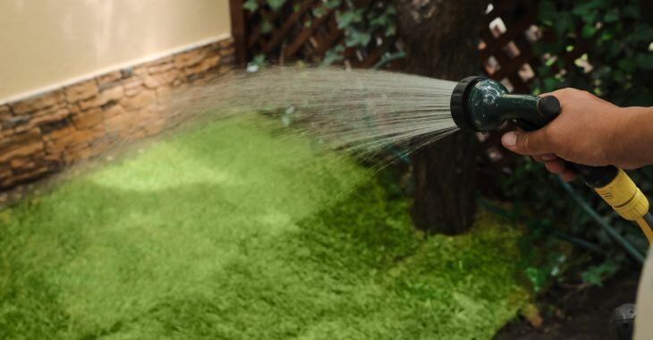 A person watering newly grown grass.