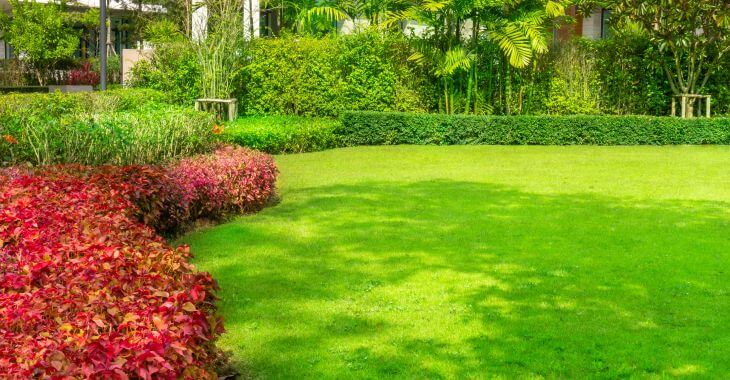 A backyard with a manicured lawn.