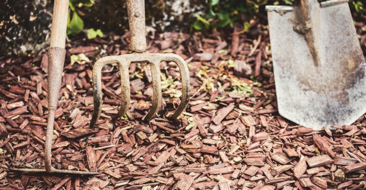 Gardening tools on a bark mulch.