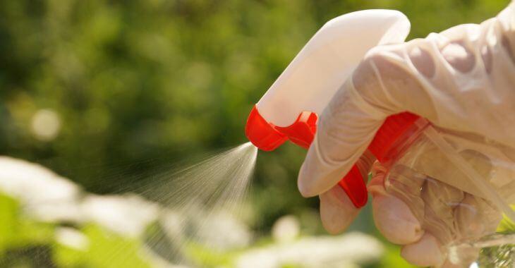 A person spraying plants with a eco-friendly weed killer. 