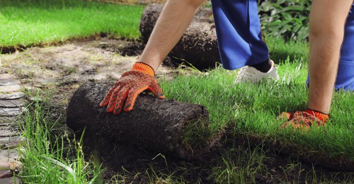 A professional landscaper installing new sod.