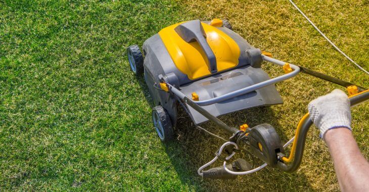 Lawn Aeration