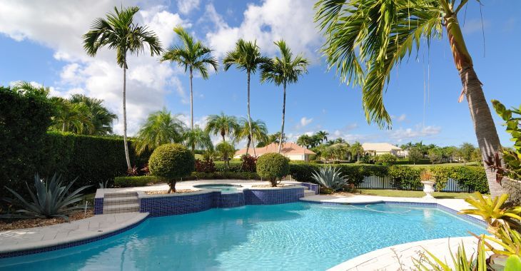 A backyard irregular-shaped swimming pool with a hut tub.