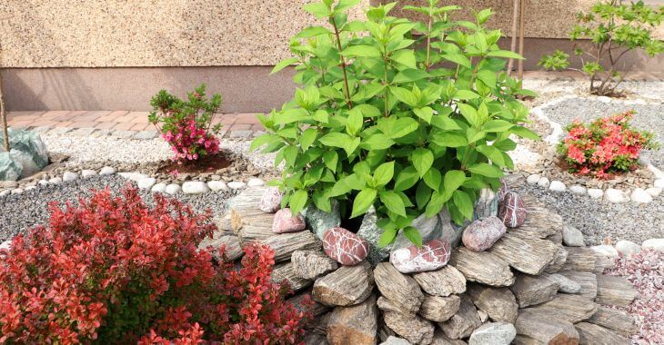 A low-maintenance backyard with natural stone hardscapes and plantings.