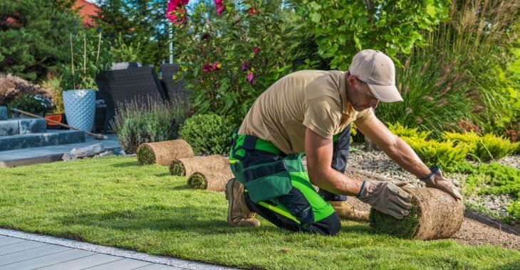 Professional landscaper installing new sod.