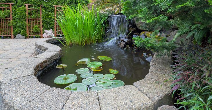 Hardscaped pond in a backyard garden.