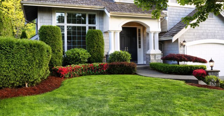 House with a beautiful lush lawn.