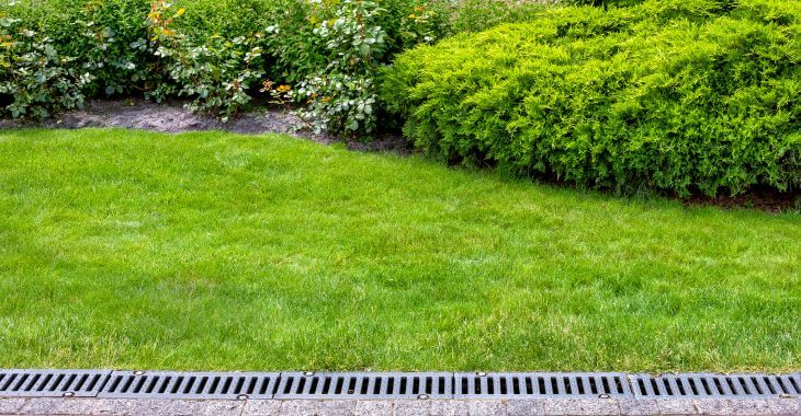 French drain installed along a lawn with shrubs.