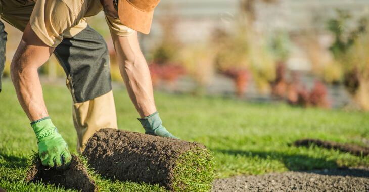 A landscaper installing new sod.