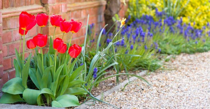 Gravel garden pathway with flower beds on a side.