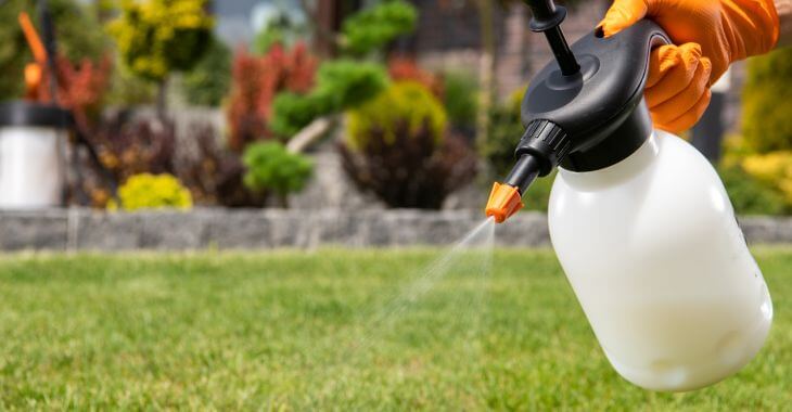 A person spraying fungicides over a backyard lawn.