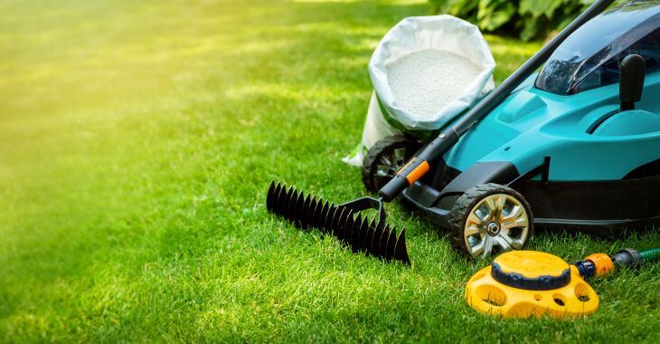 Aerator, seeds and gardening tools on a lush green lawn. 