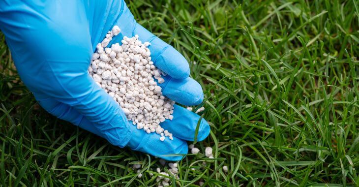 a person wearing protective gloves spreading a fertilizer over the lawn grass