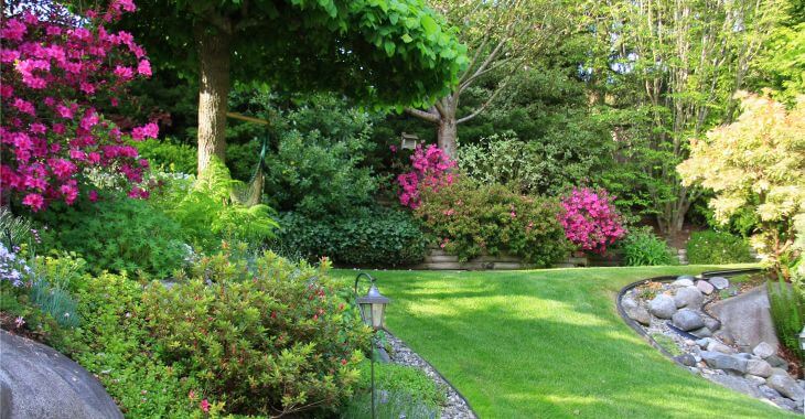 a spring garden with lush lawn