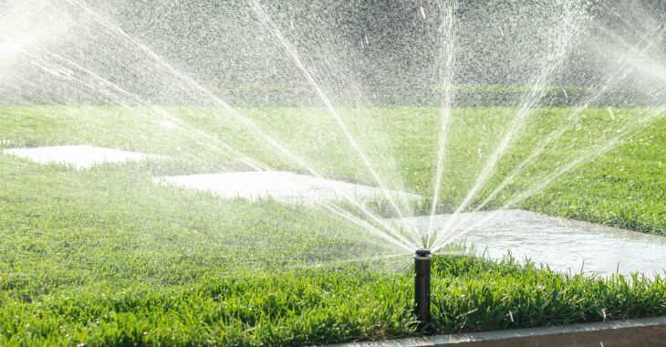 A working sprinkler watering lawn in a garden. 