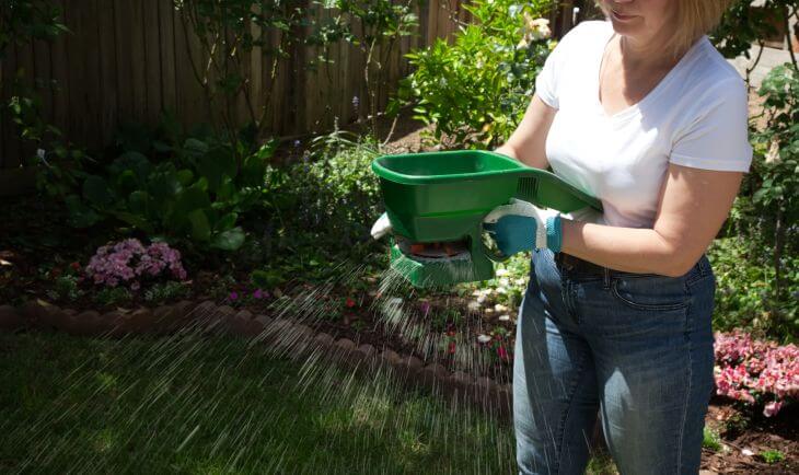 Woman manually applying lawn fertilizer