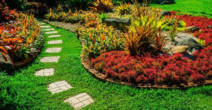 lush lawn in a manicured garden