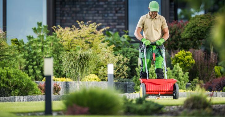 A professional landscaper applying fertilizer to the lawn grass. 