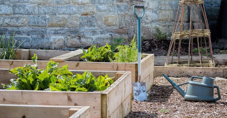 a garden with wooden raised beds