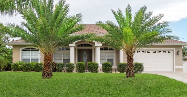 a house with lush drought-tolerant lawn with palm trees in the front yard