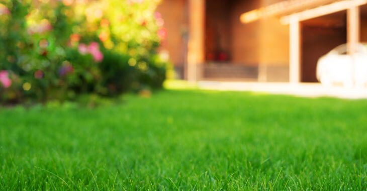 a home with a lush lawn in the front yard