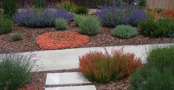 A xeriscaped backyard with stone paver and mulch around plants 