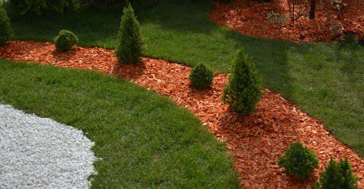 A well-maintained garden lawn with mulched flower beds