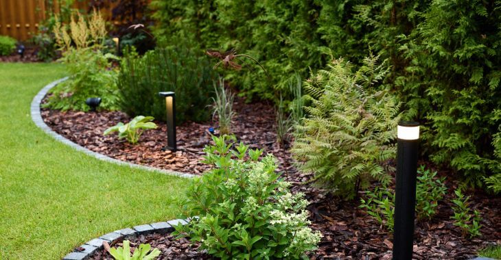 A backyard with outdoor lighting , manicured lawn and mulch around shrubs
