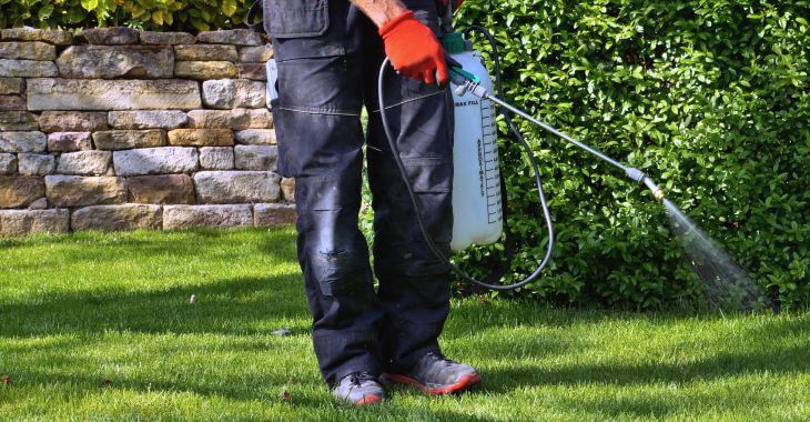 A man spraying herbicides over a manicured backyard lawn