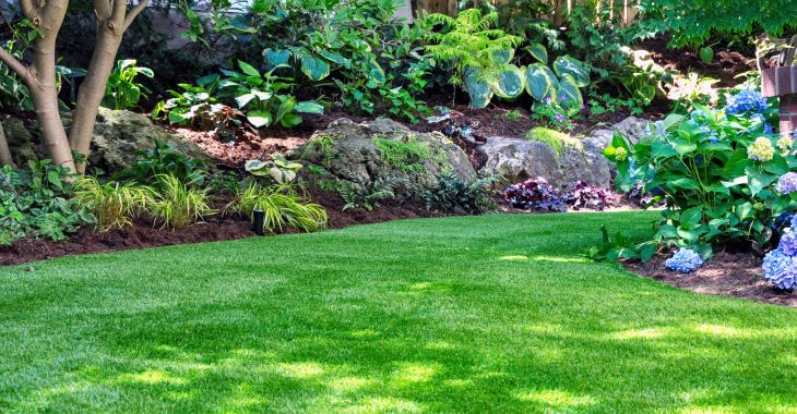 a well-maintained backyard with manicured lawn
