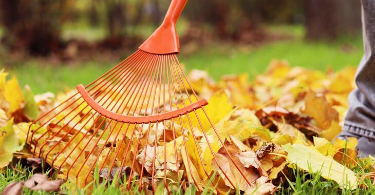 a man raking old leaves from the lawn