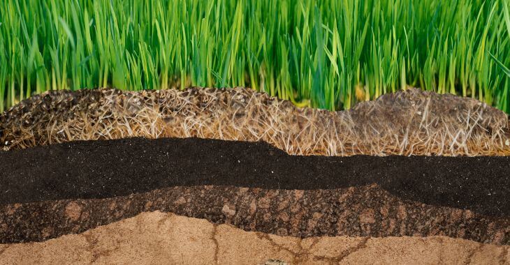 Underground soil layers of cross section earth. Ground textures with lawn grass on top.