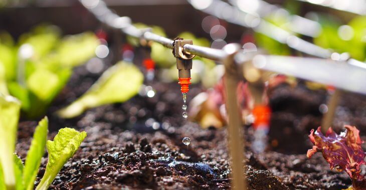 micro irrigation system
